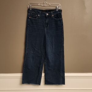 Banana Republic Dark Blue Flare Jeans